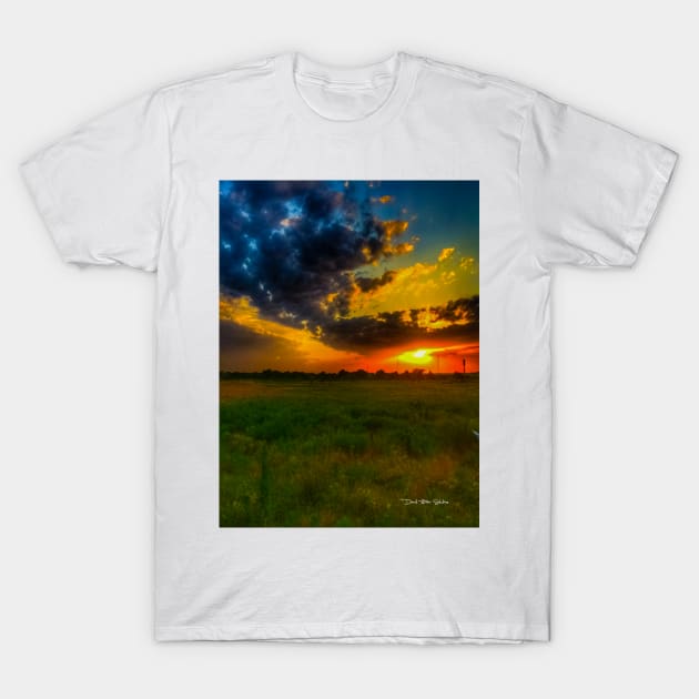 Indian Summer T-Shirt by davidbstudios